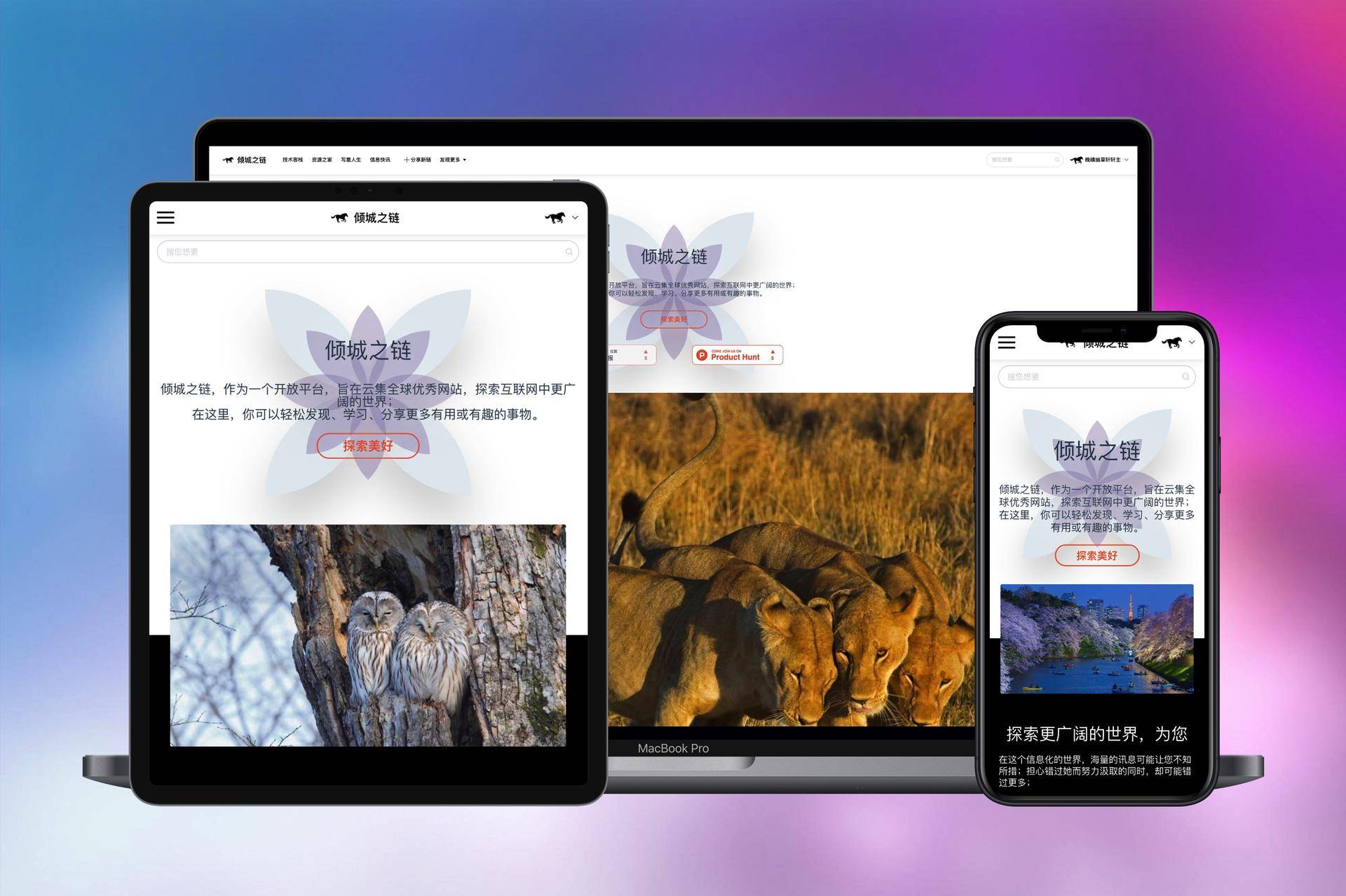 倾城之链 | 思否采访